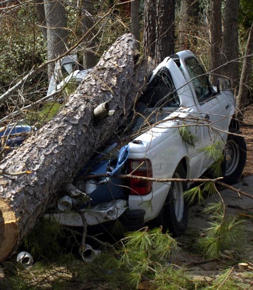 A pickup truck hit by a tree in the aftermath of the tornadoes, March 2, 2007 in Macon, Georgia. The burst of tornadoes was part of a larger line of thunderstorms and snowstorms that stretched from Minnesota to the Gulf Coast. Authorities blamed tornadoes for the deaths of a 7-year-old girl in Missouri, 10 people in Alabama and nine in Georgia, and twisters also damaged homes in Kansas. (Woody Marshall/Macon Telegraph/MCT)