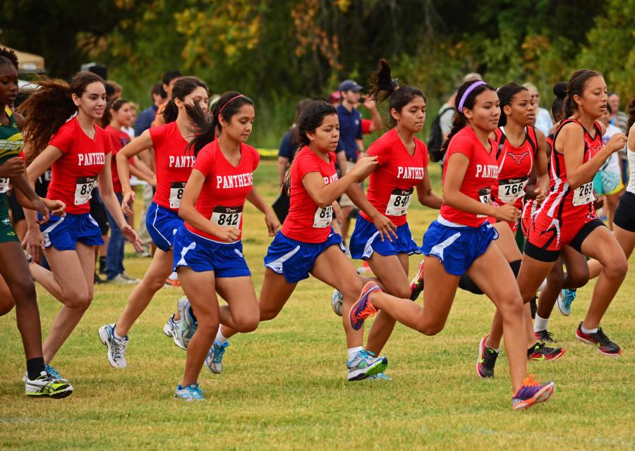 The cross country team rises early as a team to condition for their meets. They then start at the line together and compete for the winners circle. (Abigail Collins photo)