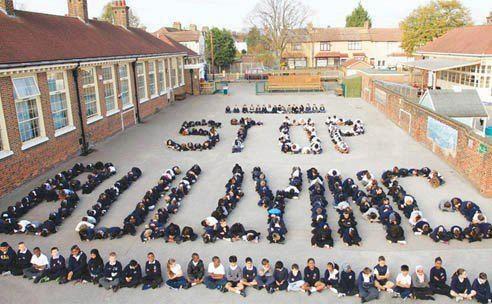 Stop the bullying